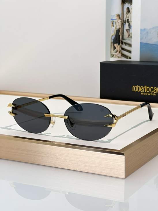 Picture of Roberto Cavalli Sunglasses _SKUfw79280029fw